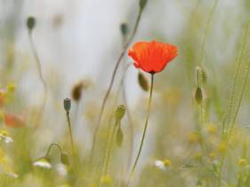 Sicher unterwegs und begleitet durch Veränderungen im Alter
