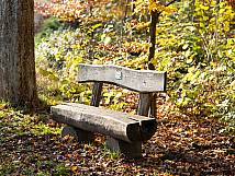 Bank im herbstlichen Hardwald