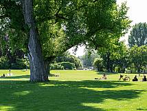 Birskopfmatte im Sommer