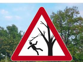 Erhöhte Vorsicht im Wald und Siedlungsgebiet
